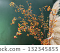秋天的小紅色漿果 132345855
