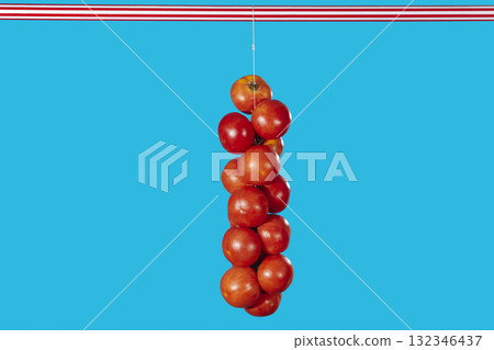 single string of Spanish tomatoes for hanging 132346437