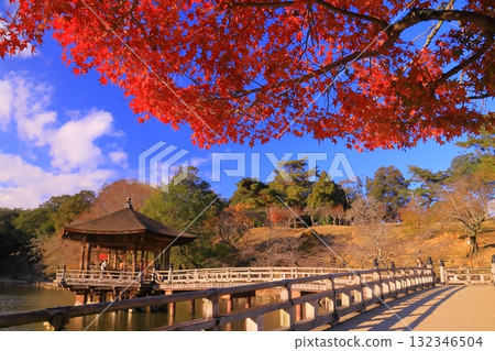 奈良公園浮見堂週邊的紅葉(奈良縣奈良市) 奈良公園浮見堂週邊的紅葉(奈良縣奈良市) 132346504
