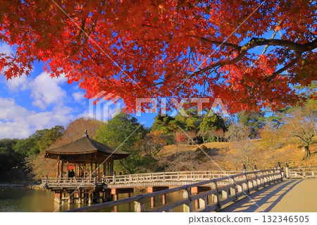 奈良公園浮見堂週邊的紅葉(奈良縣奈良市) 奈良公園浮見堂週邊的紅葉(奈良縣奈良市) 132346505