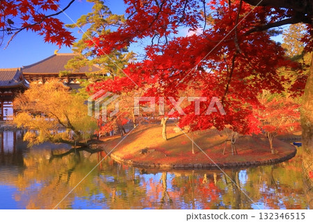 Vivid autumn foliage in front of Kagami Pond at Todaiji Temple (Nara City, Nara Prefecture) 132346515