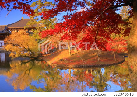 Vivid autumn foliage in front of Kagami Pond at Todaiji Temple (Nara City, Nara Prefecture) 132346516