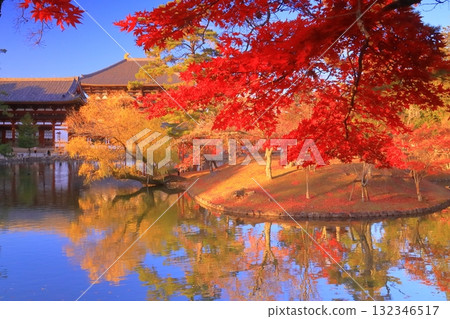 Vivid autumn foliage in front of Kagami Pond at Todaiji Temple (Nara City, Nara Prefecture) 132346517