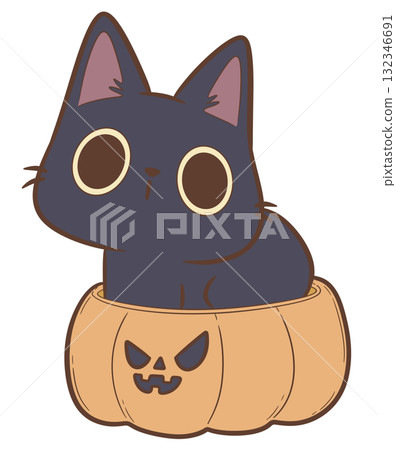 Black cat and pumpkin 132346691