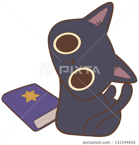 Black cat and magic book 132346692