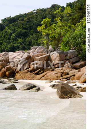 Scenic beach view with rocky shore and lush greenery in the background on a sunny day surrounded by nature Scenic beach view with rocky shore and lush greenery in the background on a sunny day surrounded by nature 132346795