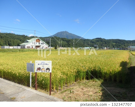 Mount Iwaki from Nishimeya Village Mount Iwaki from Nishimeya Village 132347707