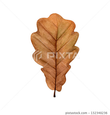 Watercolor painting of an autumn oak leaf on a white background. Good for postcards, books, invitations, greeting cards, wallpaper and textiles. Watercolor painting of an autumn oak leaf on a white background. Good for postcards, books, invitations, greeting cards, wallpaper and textiles. 132348236