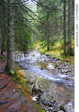 Mountain streams flow into one river after rain. Fast mountain brooks make river 132349060