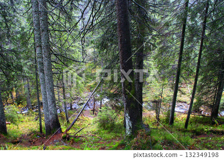 Mountain autumn landscape with forest big stones and boulders Mountain autumn landscape with forest big stones and boulders 132349198