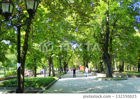 People have a rest in park with big trees. Family relaxing 132350025