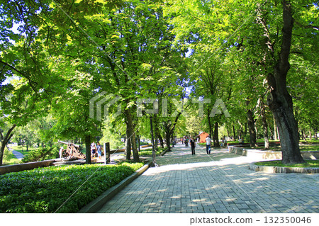People have a rest in park with big trees. Family relaxing 132350046