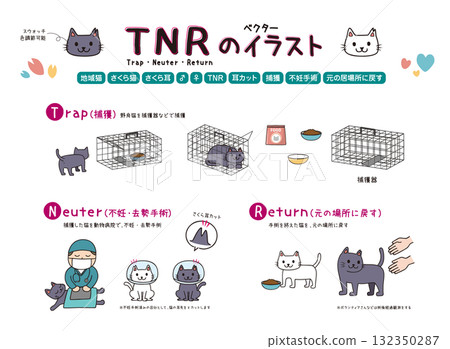 TNR for cats TNR for cats 132350287