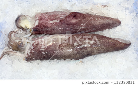 Fresh raw squid lying on ice at seafood market 132350831