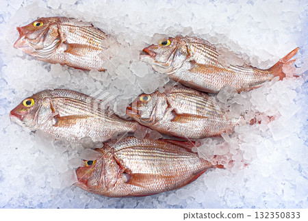 Fresh red sea bream fish displaying on ice at market 132350833