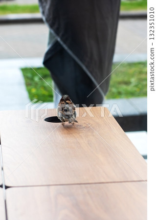 Artistic Wooden Table Display with Unique Decorative Object Artistic Wooden Table Display with Unique Decorative Object 132351010
