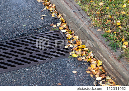 The Beautiful Autumn Leaves Gathered Along a Drainage Gutter 132351062