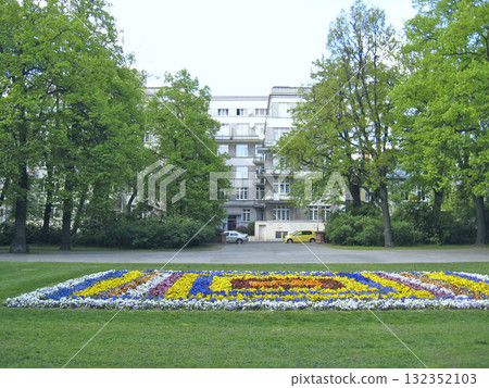 lawn with blooming pansies of three colors yellow purple and orange lawn with blooming pansies of three colors yellow purple and orange 132352103