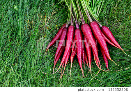 Red colorful carrots with foliage on green grass of the garden. Red colorful carrots with foliage on green grass of the garden. 132352208