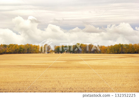 Autumn landscape in prairies with yellow stubbles and colorful trees. Autumn landscape in prairies with yellow stubbles and colorful trees. 132352225