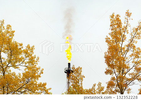 Orange flames coming out from flair pipe, yellow fall trees. 132352228