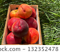 Ripe peaches fruits in the box 132352478