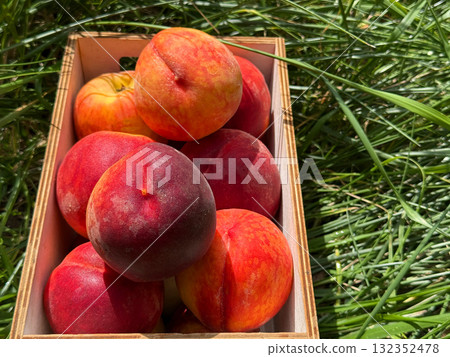 Ripe peaches fruits in the box 132352478