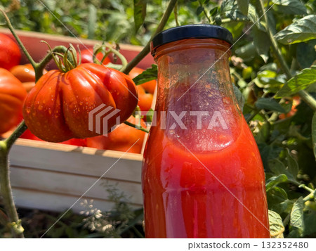 Tomato and bottle of tomato juice 132352480