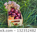 Harvest of onions and garlic in the crate  132352482