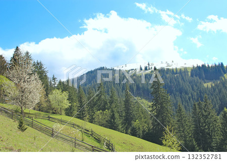 Mountain landscape with snowy peak in summer. Mountain panorama Mountain landscape with snowy peak in summer. Mountain panorama 132352781