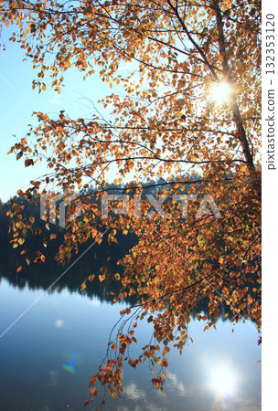 Nature scenery. Autumn forest lake. Autumn in forest lake. Autumnal landscape 132353120