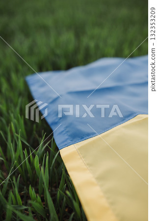 Vertical photo of flag of Ukraine on green wheat field in spring. Ukrainian flag on winter wheat in spring, symbol of resilience, rebirth and freedom Vertical photo of flag of Ukraine on green wheat field in spring. Ukrainian flag on winter wheat in spring, symbol of resilience, rebirth and freedom 132353209