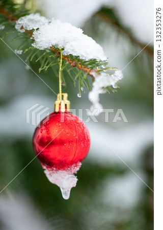 Close up of red Christmas ball in snow on the branch of fir tree, vertical shot. Concept of festive decoration, Christmas mood, snowy weather Close up of red Christmas ball in snow on the branch of fir tree, vertical shot. Concept of festive decoration, Christmas mood, snowy weather 132353276