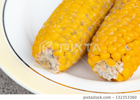 Close up shot of moldy corn in plate. Spoiled food, old boiled corn 132353360