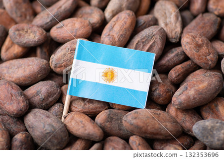 Flag of Argentina on cacao beans. Growing cacao in Argentina concept 132353696