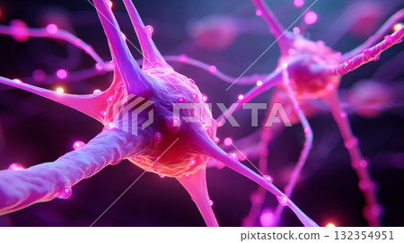 Close-up/flat lay, focusing on the intricate structure of neurons with soft lighting that accentuates their delicate components and vibrant colors 132354951