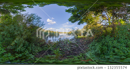 360 degree panorama of thickets on the lakeshore and surrounding windfall. HDRI seamless spherical 360-degree panorama of lakeshore 360 degree panorama of thickets on the lakeshore and surrounding windfall. HDRI seamless spherical 360-degree panorama of lakeshore 132355574