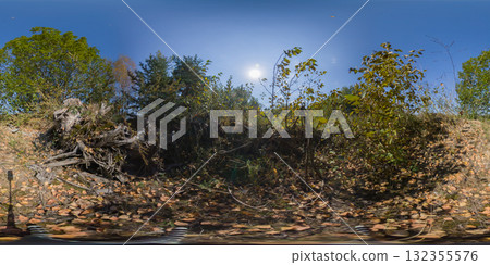 360 degree panorama of a forest pit with an uprooted tree nearby. HDRI seamless spherical 360-degree panorama of uprooted tree nearby 360 degree panorama of a forest pit with an uprooted tree nearby. HDRI seamless spherical 360-degree panorama of uprooted tree nearby 132355576