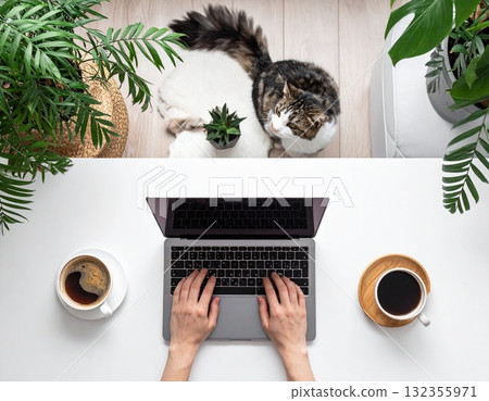 Illustration of working from home surrounded by cats and houseplants | A relaxing space for work-life balance Illustration of working from home surrounded by cats and houseplants | A relaxing space for work-life balance 132355971