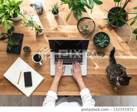 在家工作的插圖，周圍環繞著貓和室內植物 | 一個實現工作與生活平衡的放鬆空間 132355972