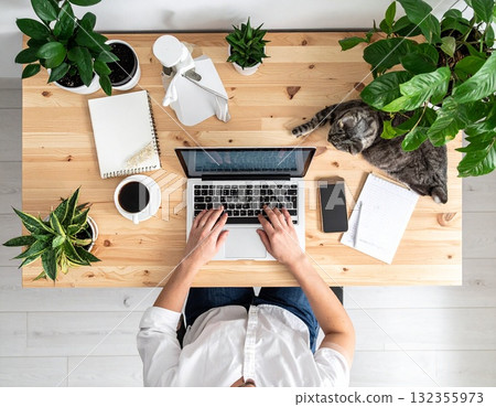 在家工作的插圖，周圍環繞著貓和室內植物 | 一個實現工作與生活平衡的放鬆空間 132355973