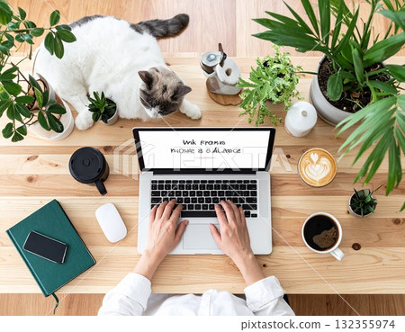 Illustration of working from home surrounded by cats and houseplants | A relaxing space for work-life balance 132355974