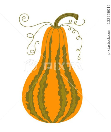 Pumpkin hand drawn vector illustration in warm orange colors, vegetable for seasonal autumn, fall holidays celebration design, healthy vegetarian diet ingredient, Thanksgiving, Halloween clipart 132356013