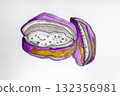 Akebia fruit hand-drawn illustration 132356981