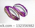 Akebia fruit hand-drawn illustration 132356982