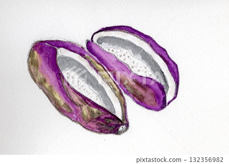 Akebia fruit hand-drawn illustration Akebia fruit hand-drawn illustration 132356982