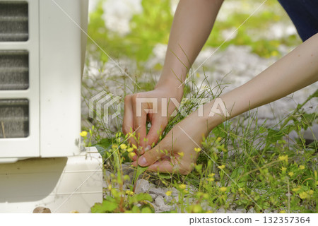 Hands of a woman weeding the garden 132357364