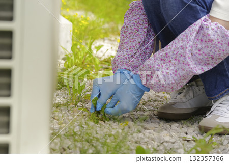 除草花園的女人的手 除草花園的女人的手 132357366