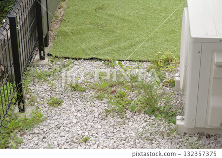 房屋籬笆上長滿了雜草 132357375