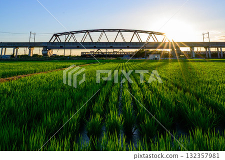 鄉村夏日夕陽 鄉村夏日夕陽 132357981